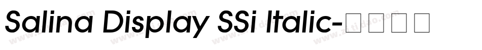 Salina Display SSi Italic字体转换